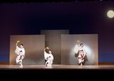 「雪月花」(せつげつか・15日夜の部)<br>SETSUGEKKA